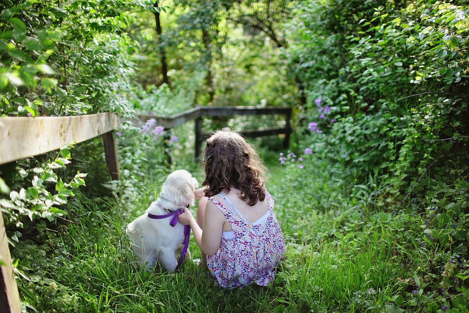 Faire de son chien un allié grâce au dressage