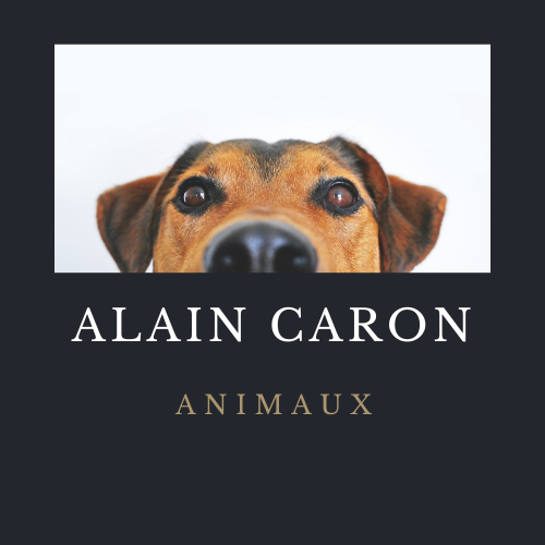 logo animaux