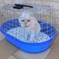 soigneur animalier